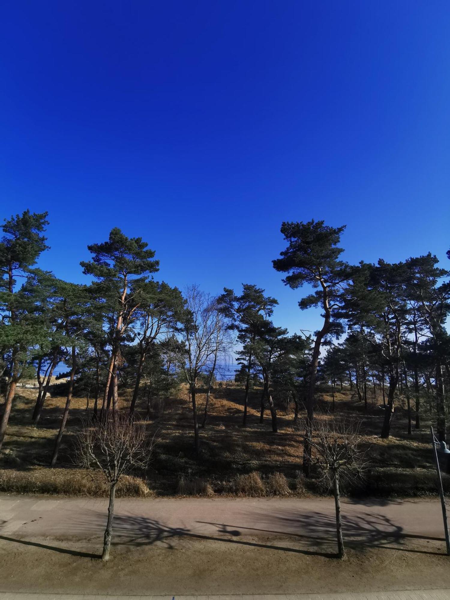 Villa Adler- Seeseite Heringsdorf Dış mekan fotoğraf
